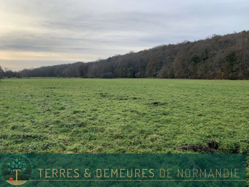 vente Terrain agricole Broglie - Photo 7