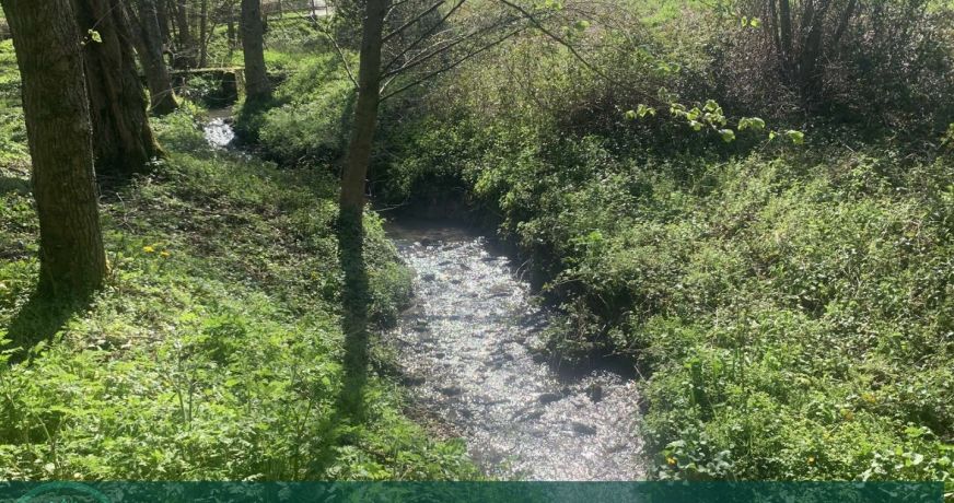 vente Maison de campagne Ouilly Le Vicomte