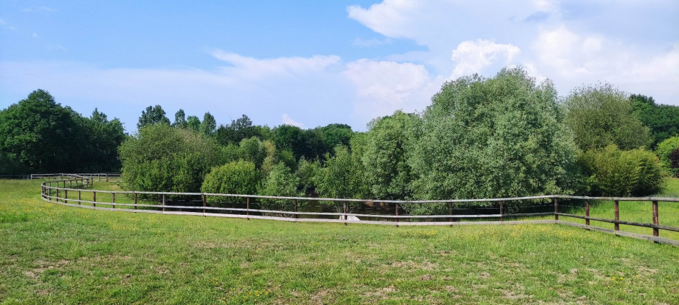 vente Propriété Mezidon Canon - Photo 5