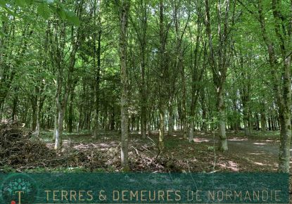 vente Propriété forestière Vire