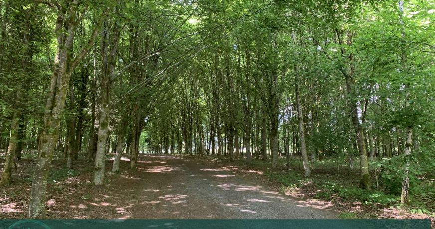 vente Propriété forestière Vire