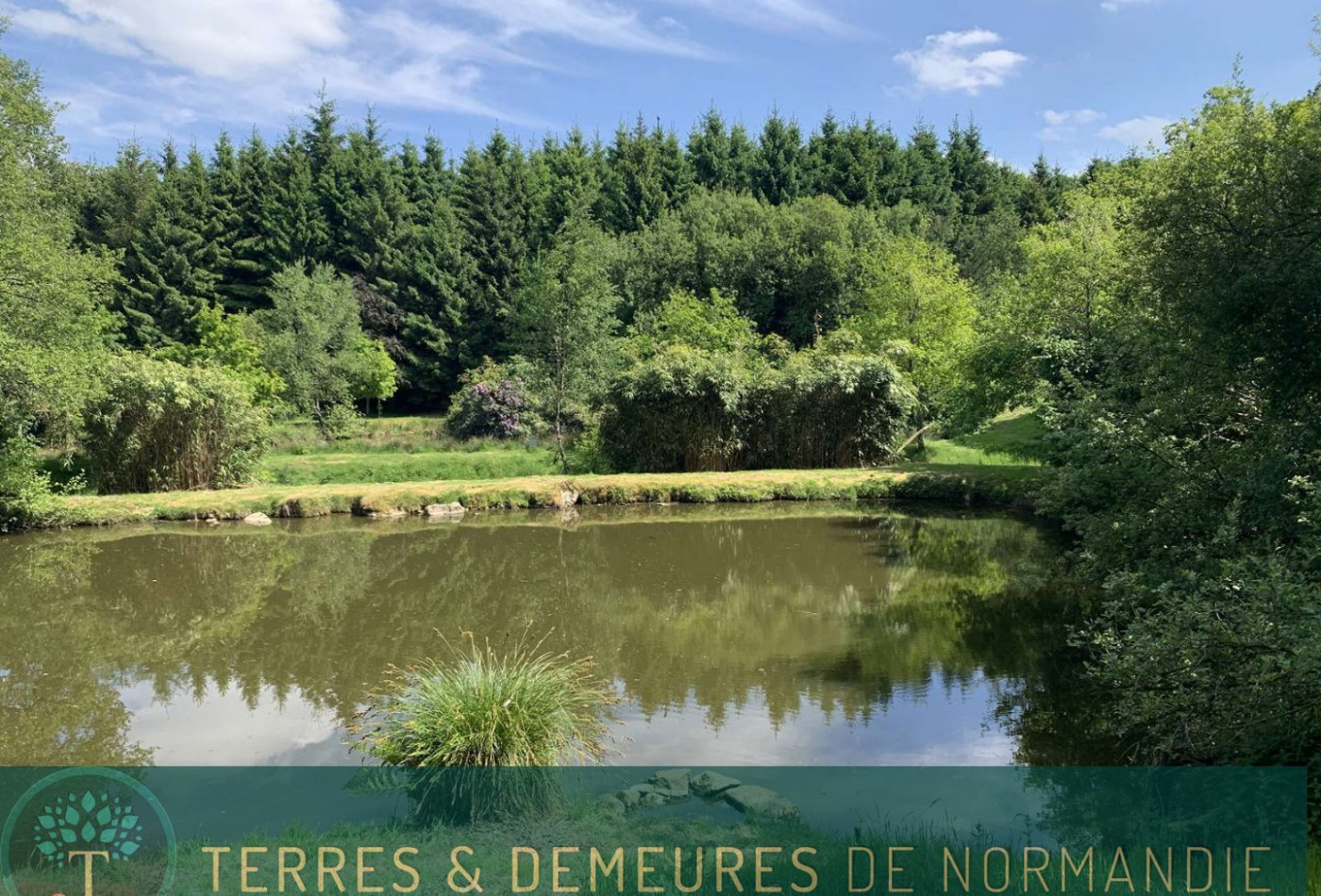 vente Propriété forestière Vire - Photo 5