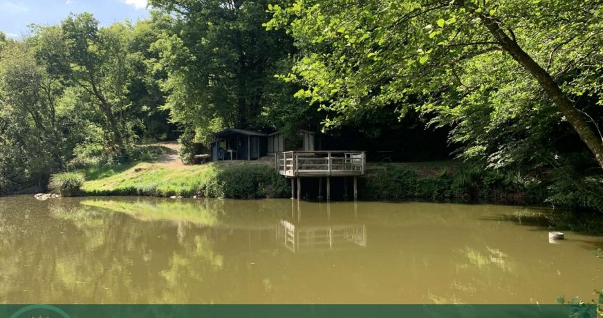 vente Propriété forestière Vire