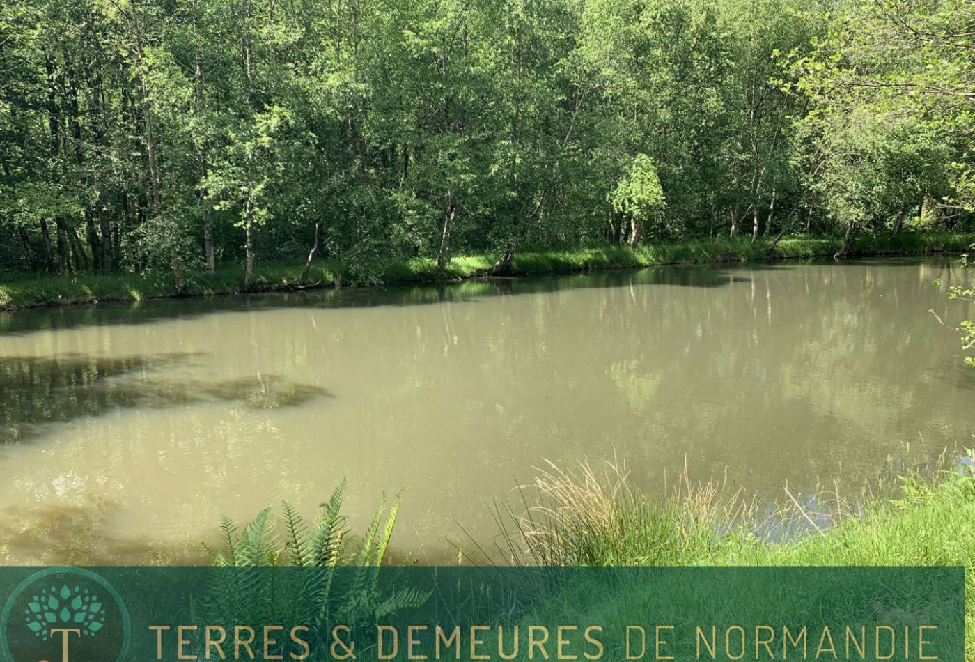 vente Propriété forestière Vire - Photo 8