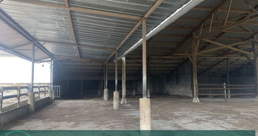vente Corps de ferme Saint Pierre Sur Dives