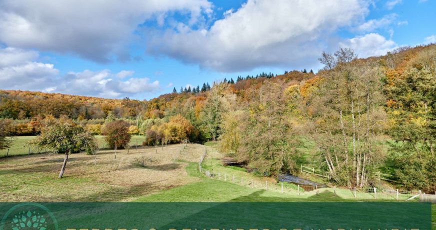 vente Propriété Moyaux