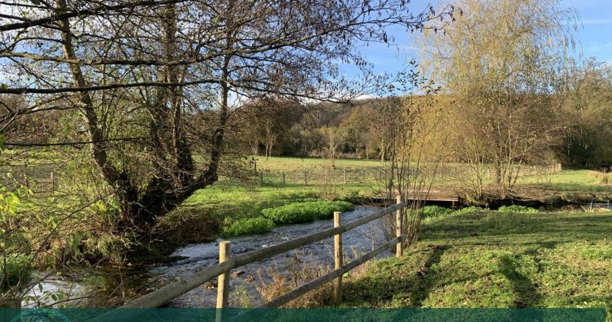 vente Propriété Moyaux