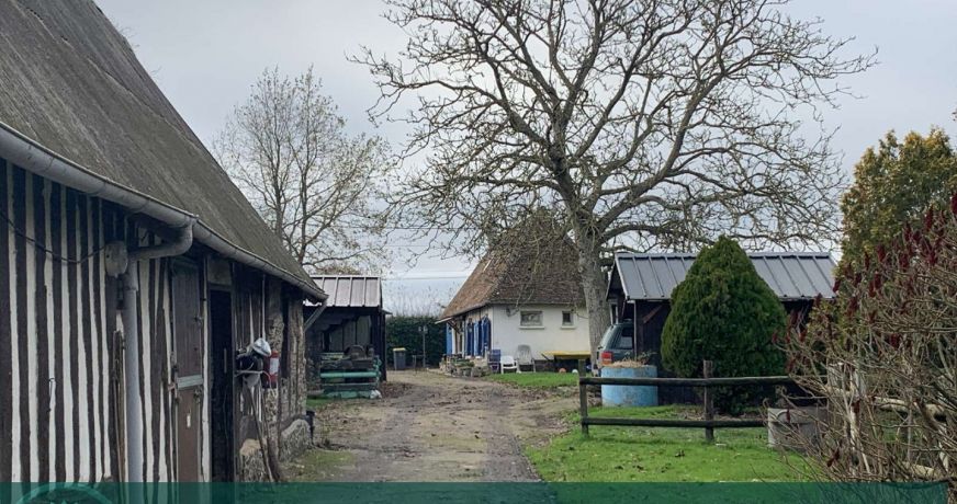 vente Haras / equestre Beaumesnil