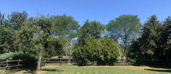 vente Haras / equestre Beaumesnil