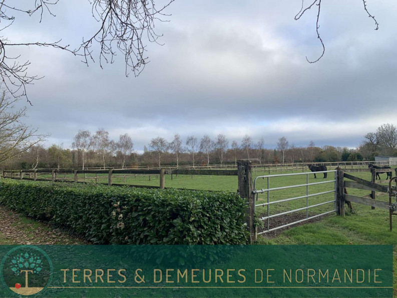vente Haras / equestre Beaumesnil - Photo 3