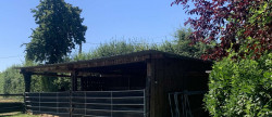 vente Haras / equestre Beaumesnil