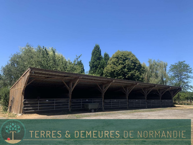 vente Haras / equestre Beaumesnil - Photo 9