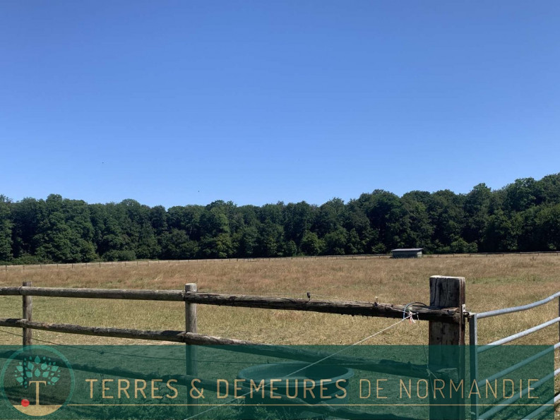 vente Haras / equestre Beaumesnil - Photo 10