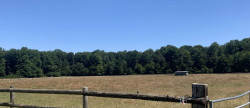 vente Haras / equestre Beaumesnil