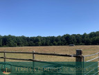 vente Haras / equestre Beaumesnil