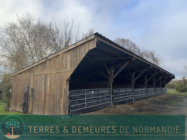 vente Haras / equestre Beaumesnil - Photo 4