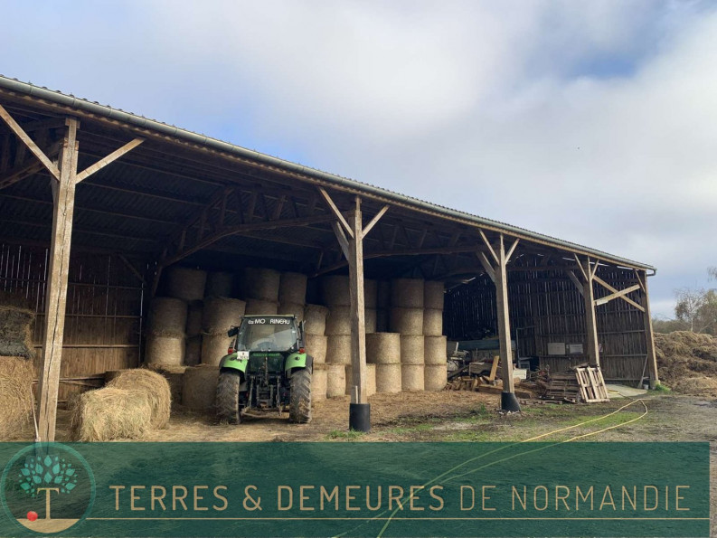 vente Haras / equestre Beaumesnil - Photo 6