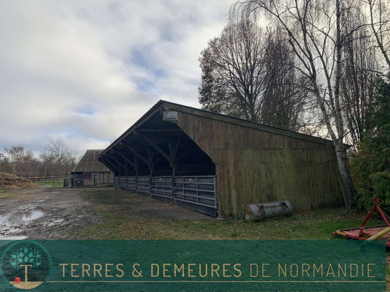 vente Haras / equestre Beaumesnil - Photo 7