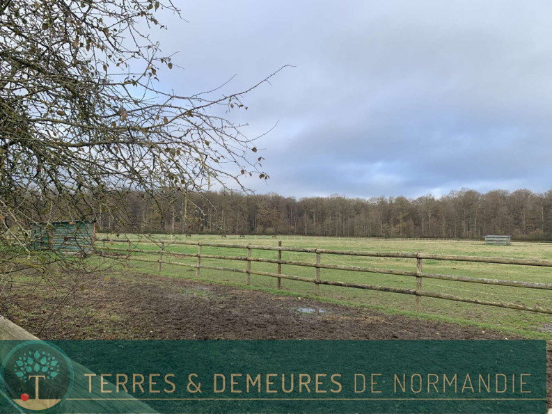 vente Haras / equestre Beaumesnil - Photo 9