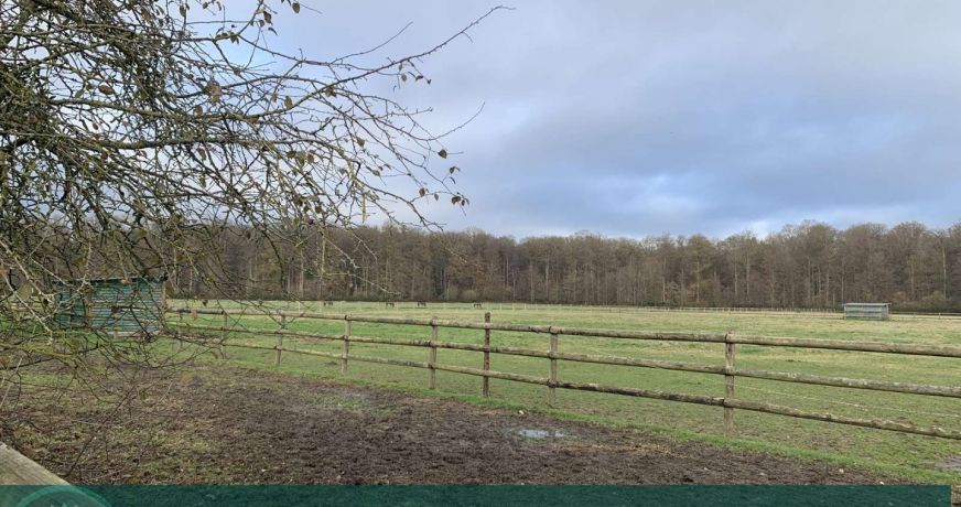 vente Haras / equestre Beaumesnil