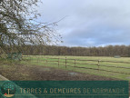 vente Haras / equestre Beaumesnil
