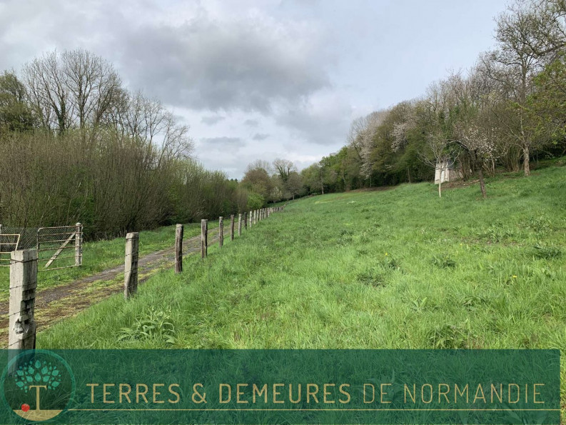 vente Propriété Saint Martin Bienfaite Cresso - Photo 2