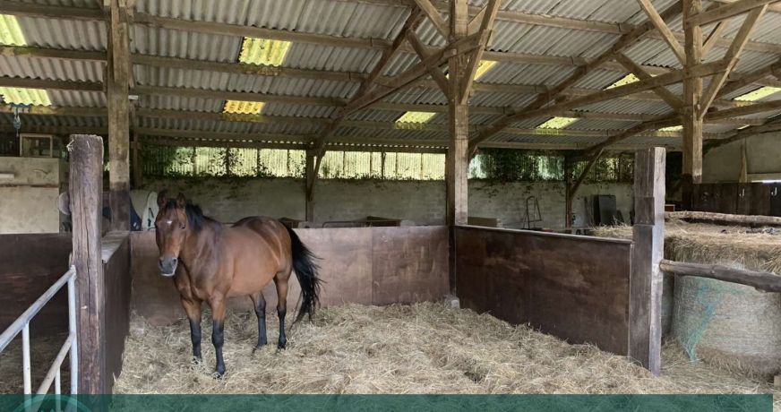 vente Propriété agricole Vimoutiers