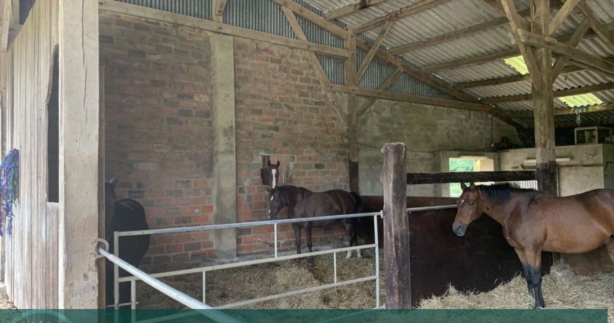 vente Propriété agricole Vimoutiers