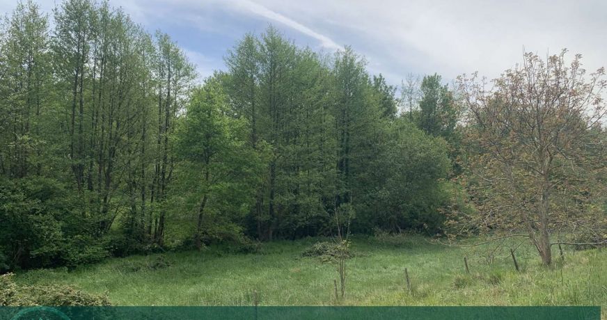 vente Propriété agricole Livarot