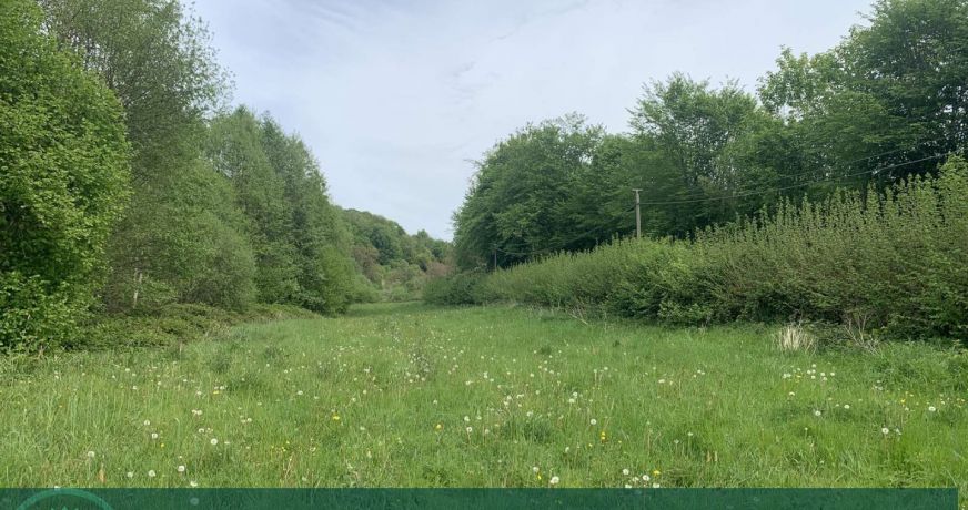 vente Propriété agricole Livarot