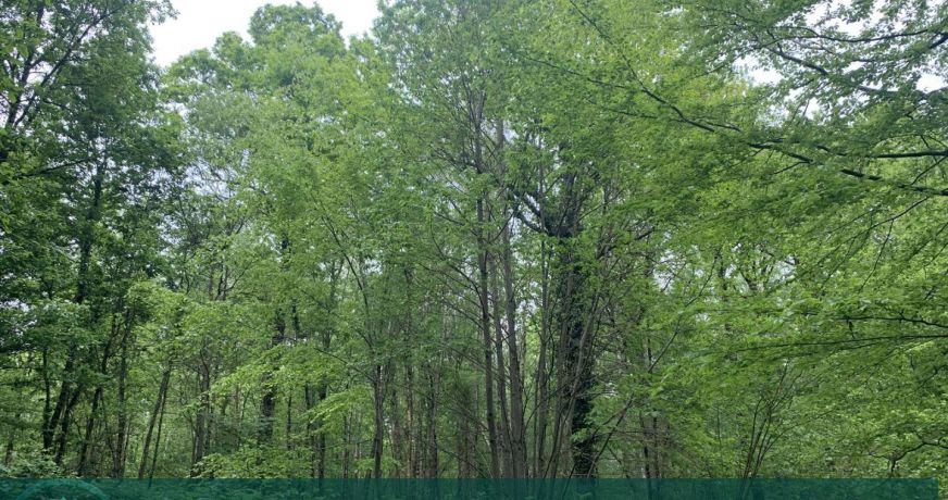 vente Propriété agricole Livarot