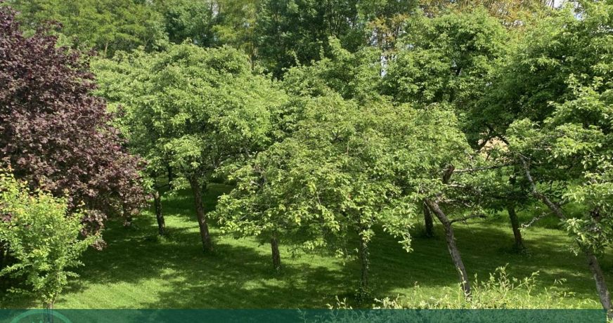 vente Maison de campagne Lisieux