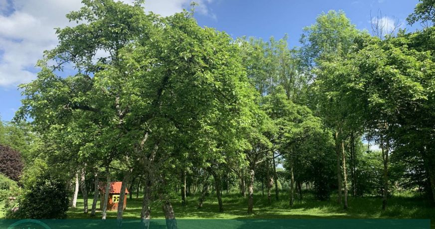 vente Maison de campagne Lisieux