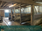 vente Haras / equestre La Poterie Mathieu