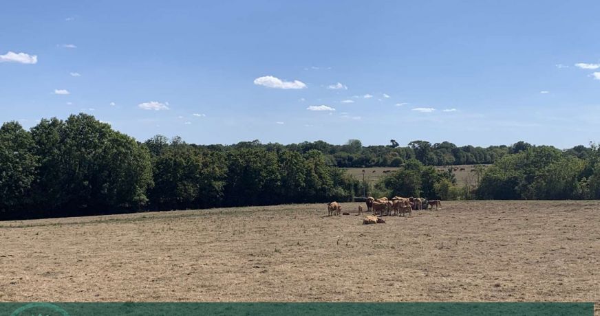 vente Propriété agricole Le Molay Littry