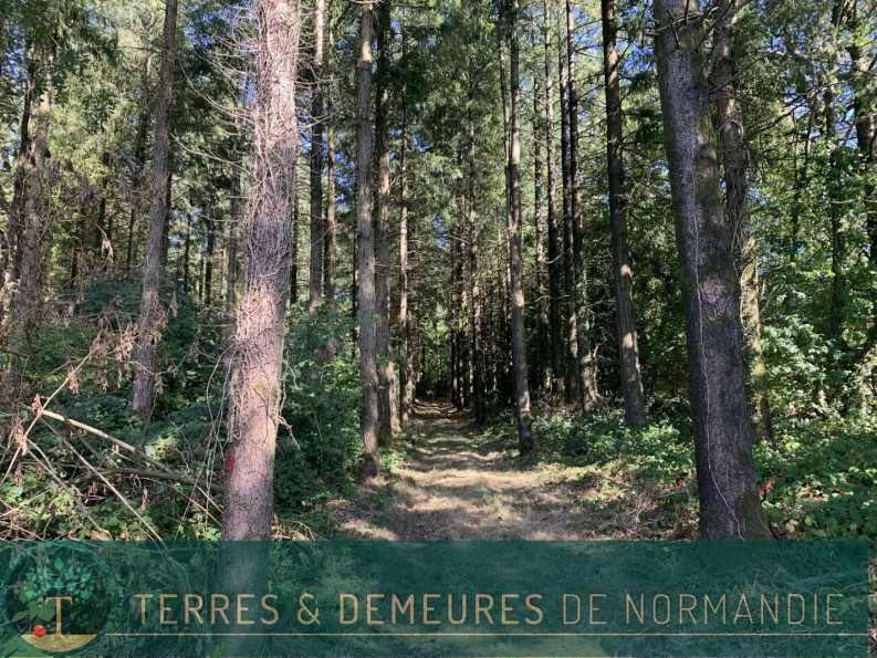 vente Propriété forestière Vire - Photo 1