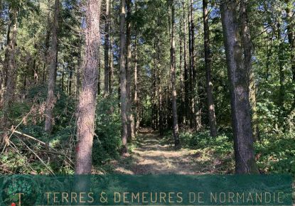 vente Propriété forestière Vire