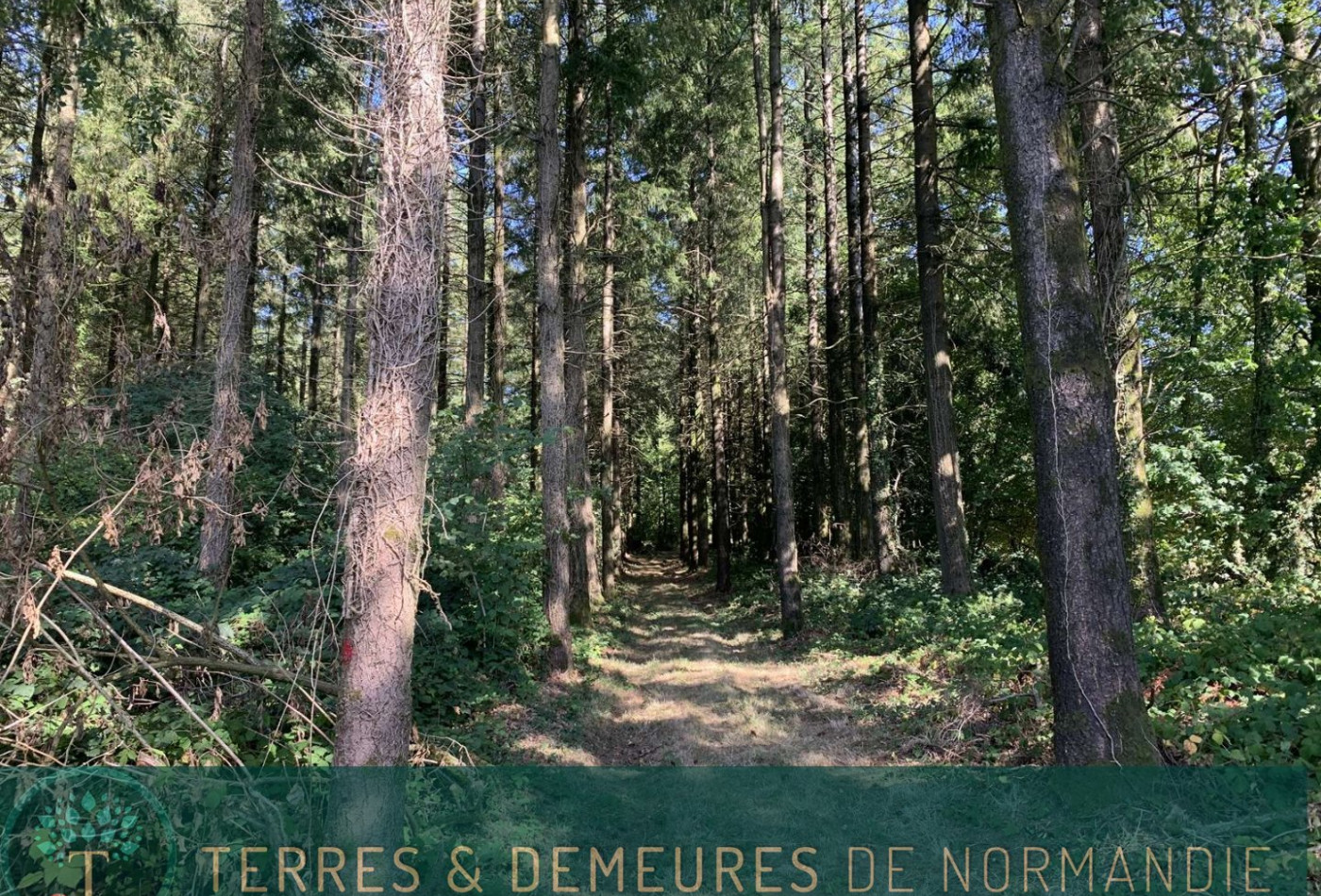 vente Propriété forestière Vire - Photo 1