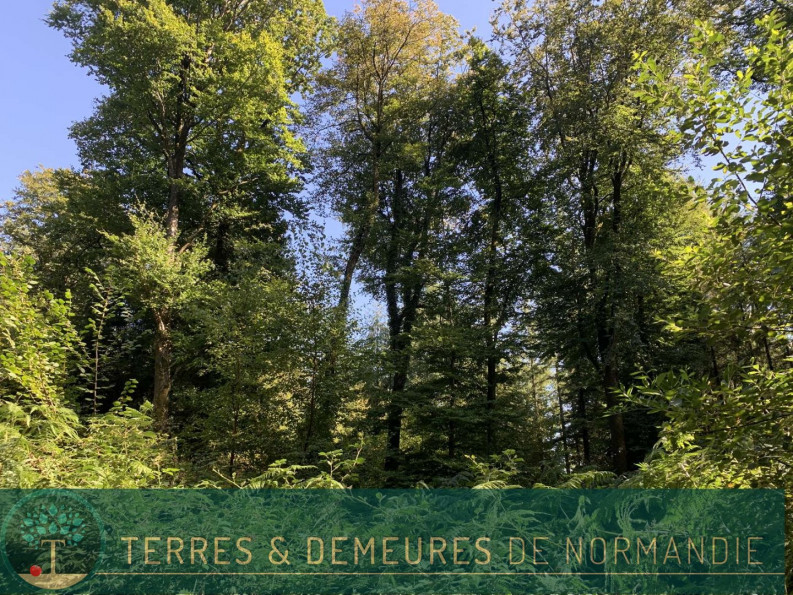 vente Propriété forestière Vire - Photo 10