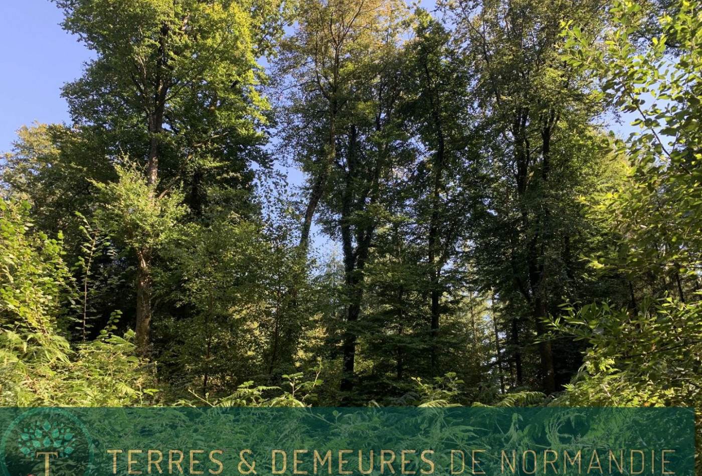 vente Propriété forestière Vire - Photo 10
