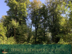 vente Propriété forestière Vire