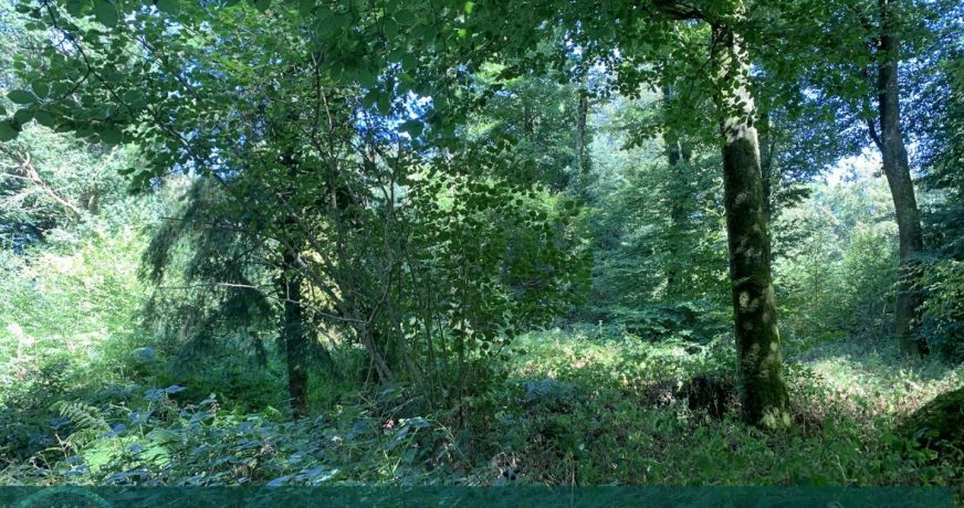 vente Propriété forestière Vire