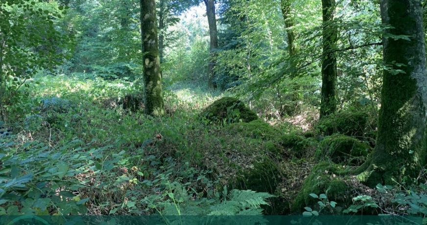 vente Propriété forestière Vire
