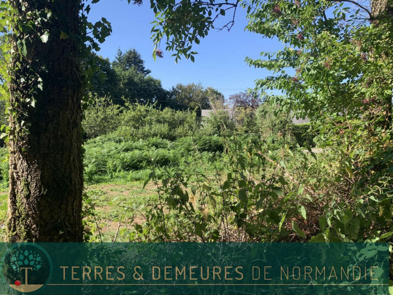 vente Propriété forestière Vire - Photo 5