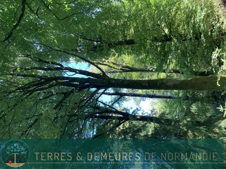 vente Propriété forestière Vire - Photo 7