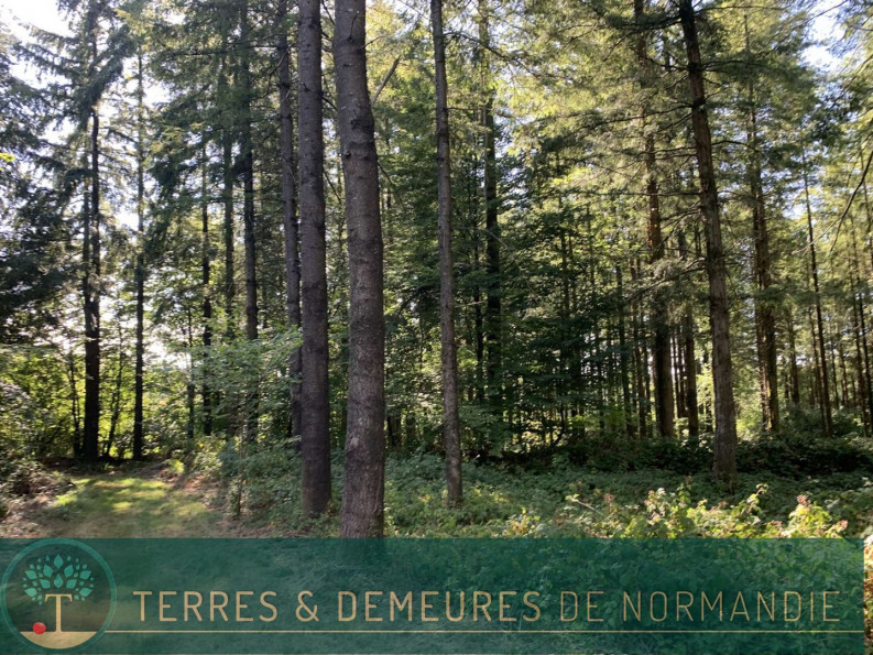 vente Propriété forestière Vire - Photo 8