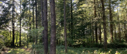 vente Propriété forestière Vire