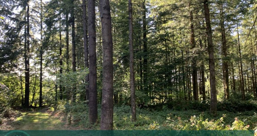vente Propriété forestière Vire