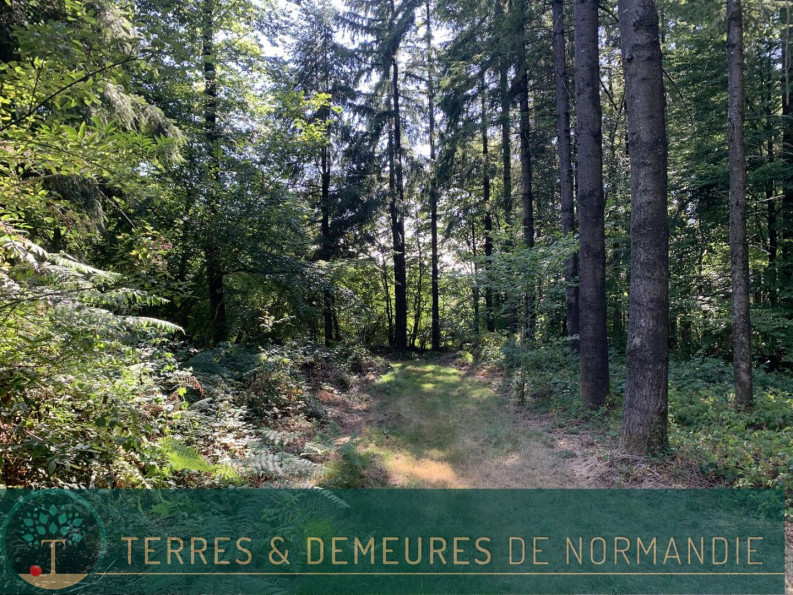 vente Propriété forestière Vire - Photo 9
