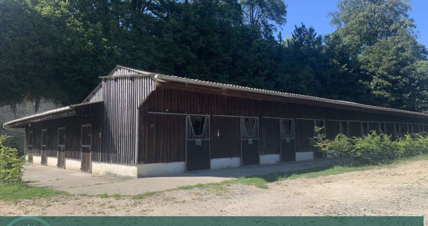 vente Haras / equestre Lessard Et Le Chene
